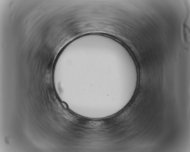 X0000102371513200808221727