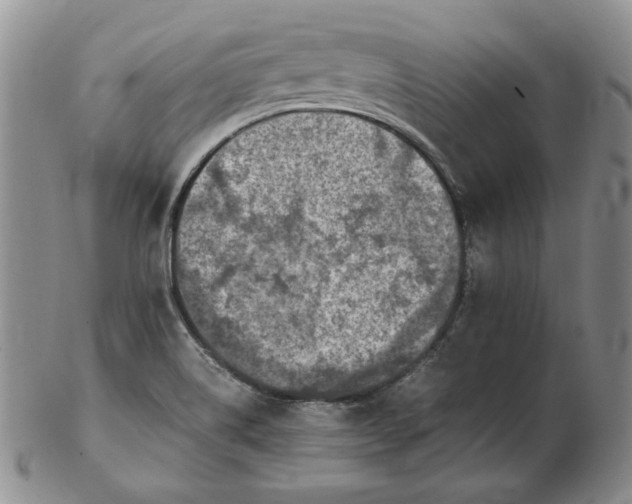 X0000102371514200808221727