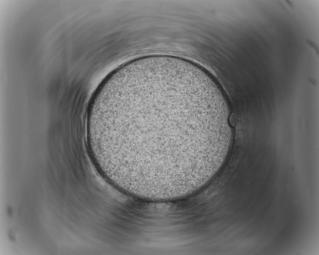 X0000102371515200808221727