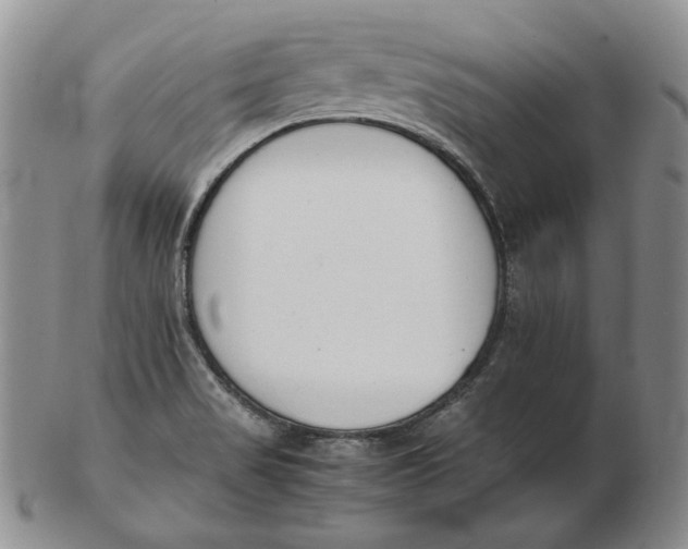 X0000102371517200808221727