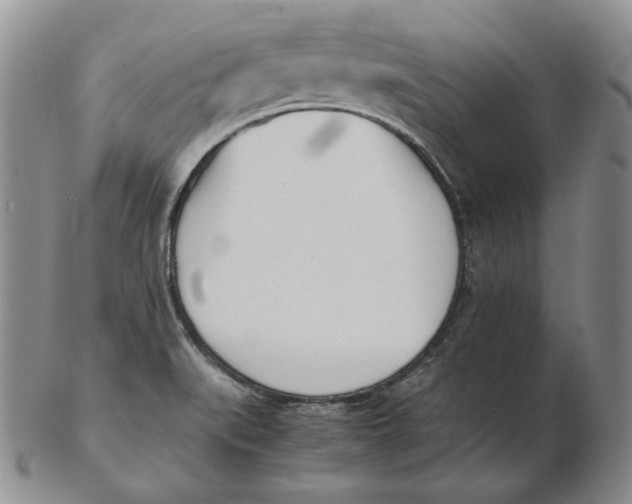 X0000102371519200808221727