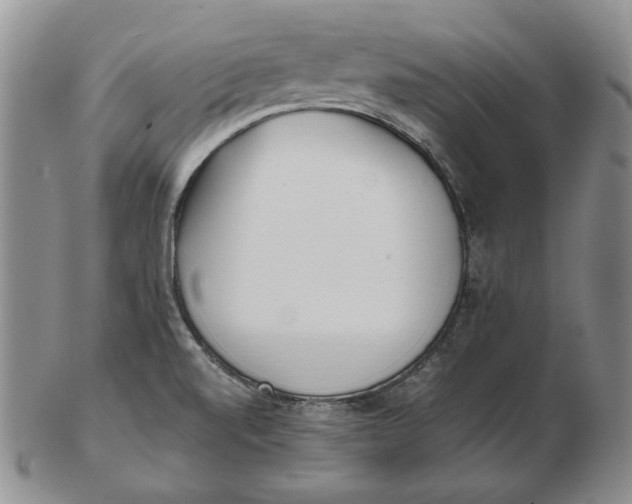 X0000102371520200808221727