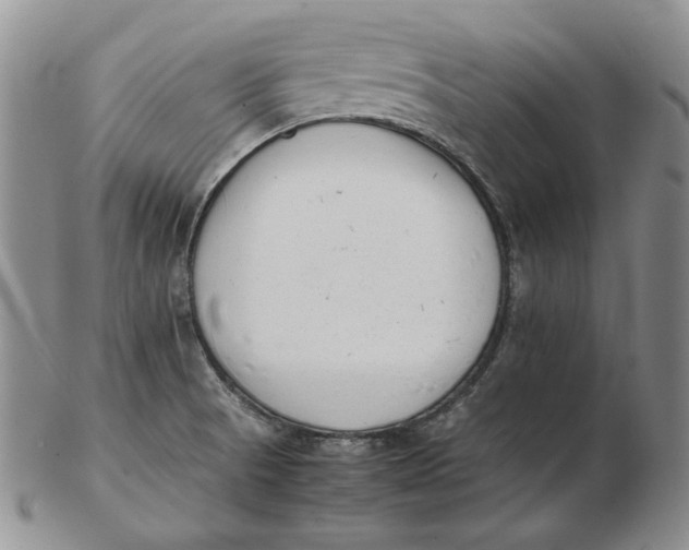 X0000102371521200808221727