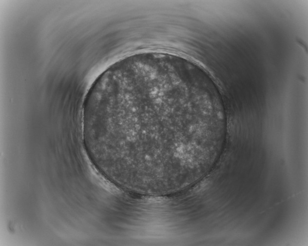 X0000102371522200808221727