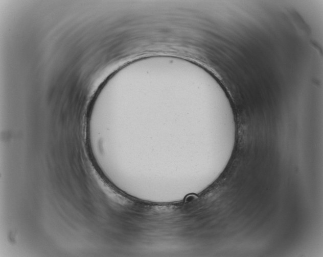 X0000102371523200808221727