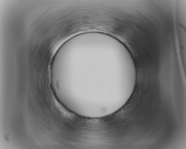 X0000102371524200808221727