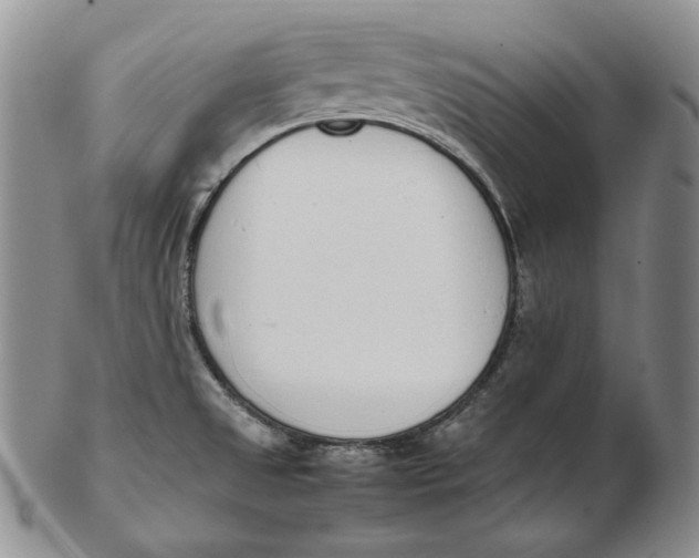 X0000102371525200808221727