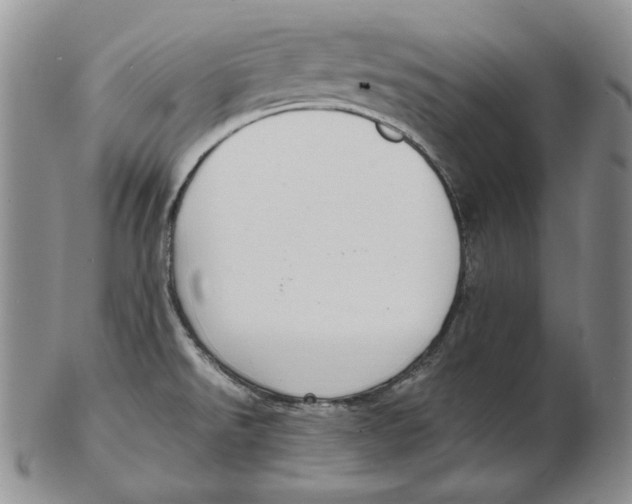 X0000102371526200808221727