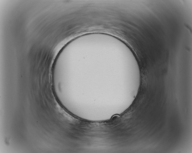 X0000102371527200808221727