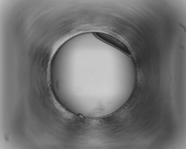 X0000102371528200808221727