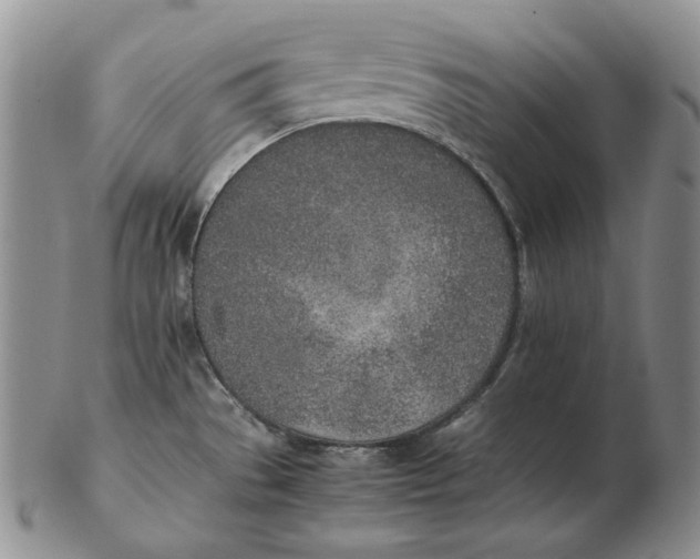 X0000102371529200808221727