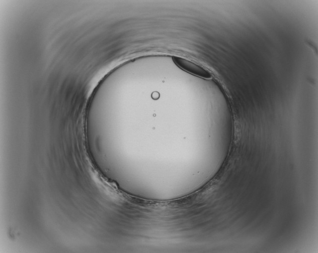 X0000102371530200808221727