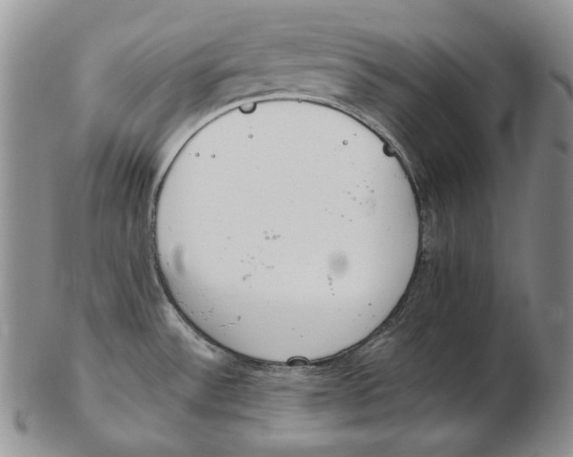 X0000102371532200808221727