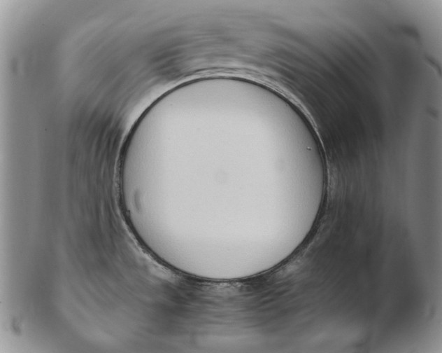 X0000102371533200808221727