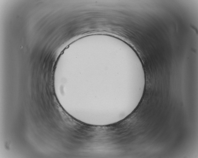 X0000102371534200808221727