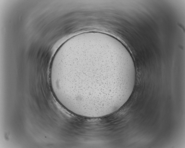 X0000102371535200808221727