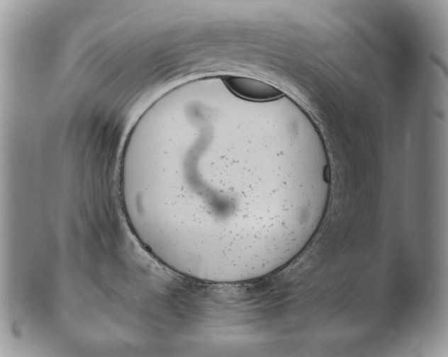 X0000102371536200808221727