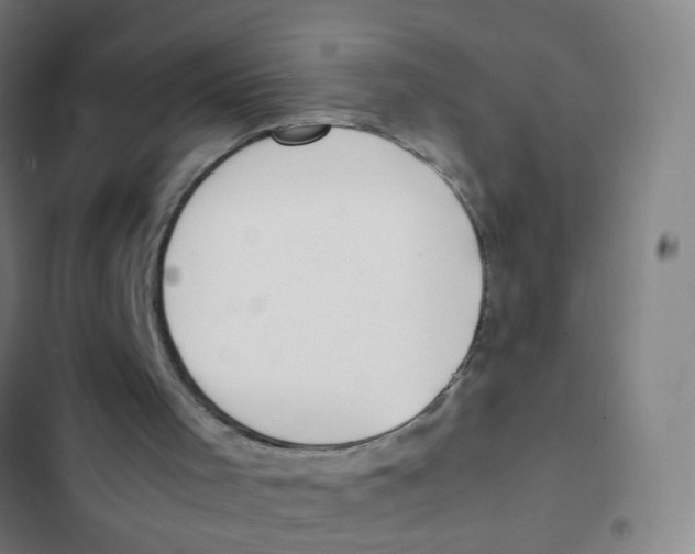 X0000102370001200808291300