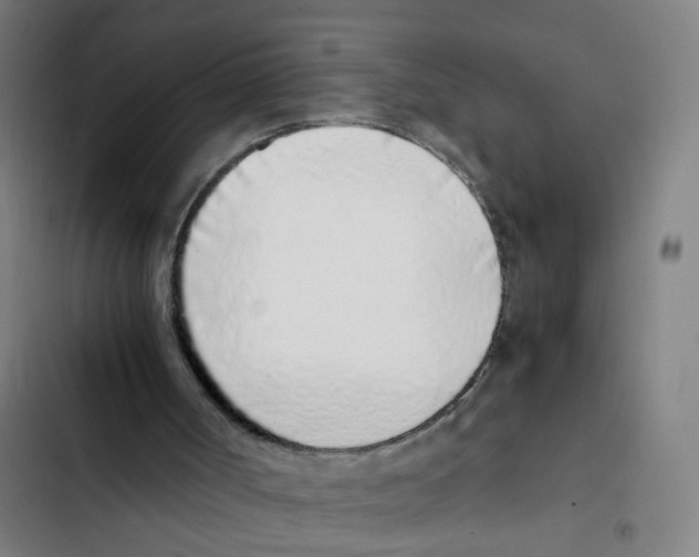 X0000102370002200808291300