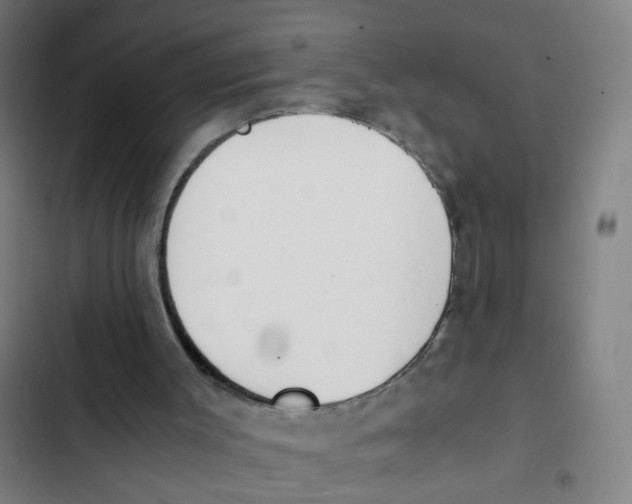 X0000102370003200808291300