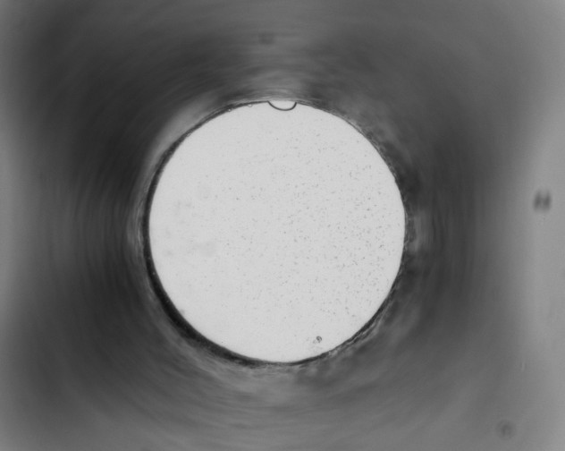 X0000102370004200808291300