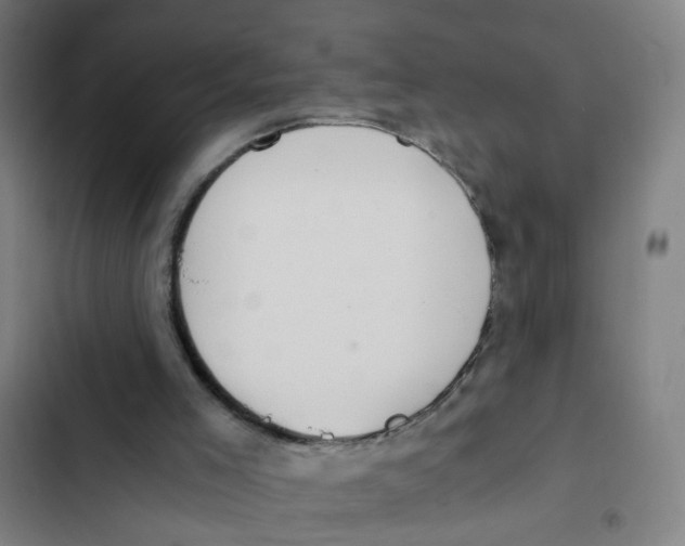 X0000102370005200808291300