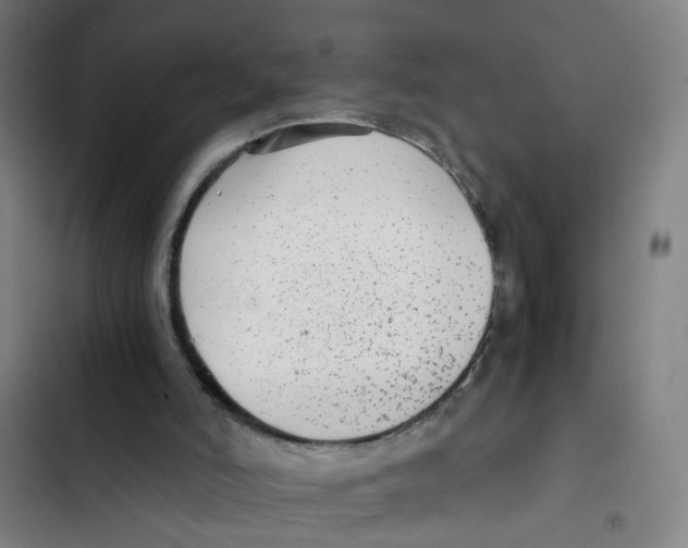 X0000102370006200808291300