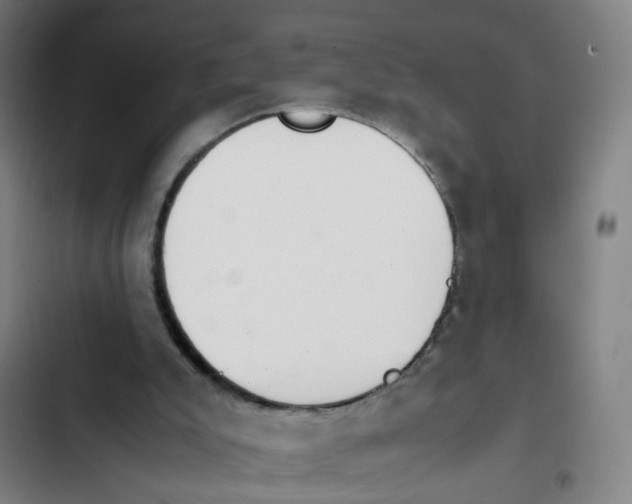 X0000102370007200808291300