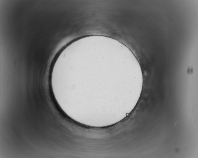 X0000102370008200808291300