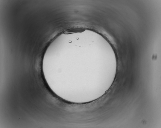 X0000102370009200808291300
