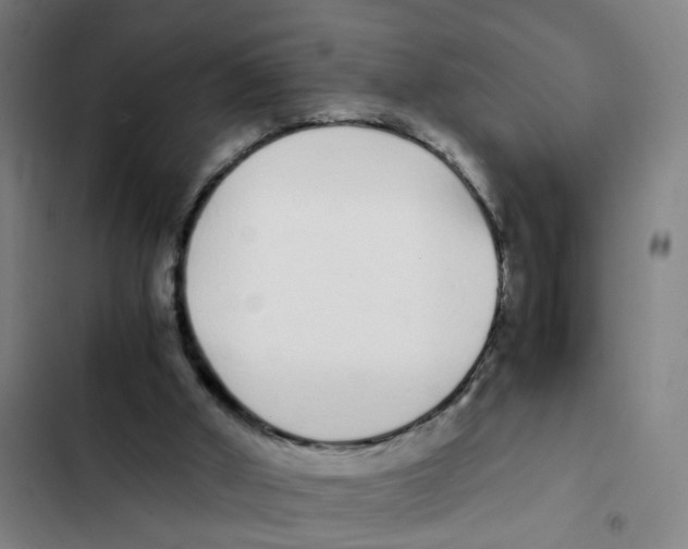 X0000102370010200808291300