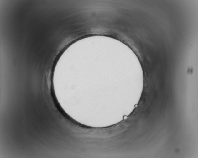 X0000102370011200808291300