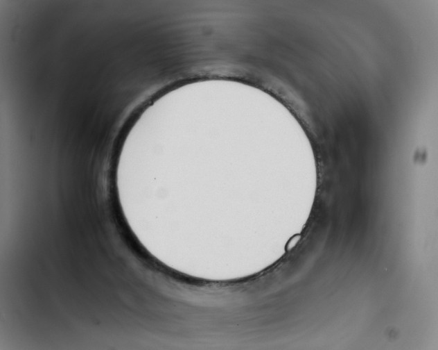 X0000102370012200808291300