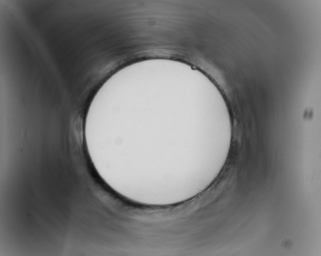 X0000102370013200808291300