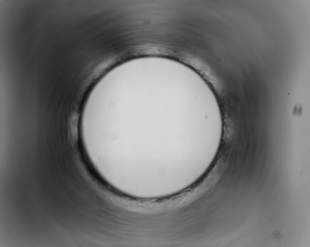 X0000102370014200808291300