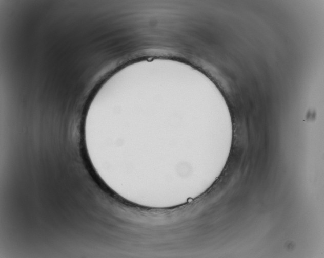 X0000102370015200808291300