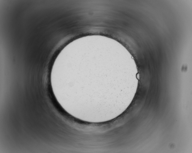 X0000102370016200808291300