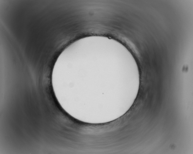 X0000102370017200808291300