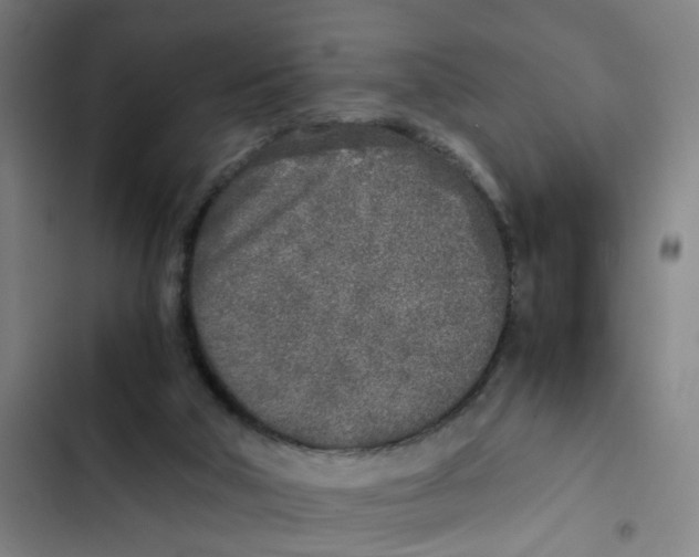 X0000102370018200808291300