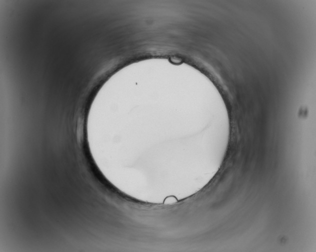 X0000102370019200808291300