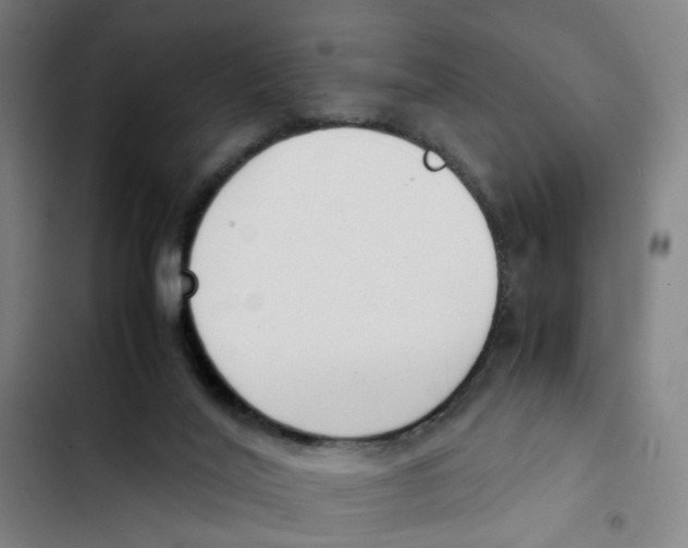 X0000102370020200808291300