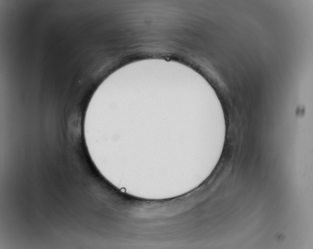 X0000102370021200808291300