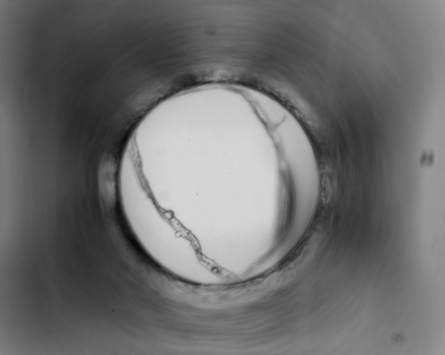 X0000102370022200808291300