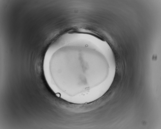 X0000102370023200808291300