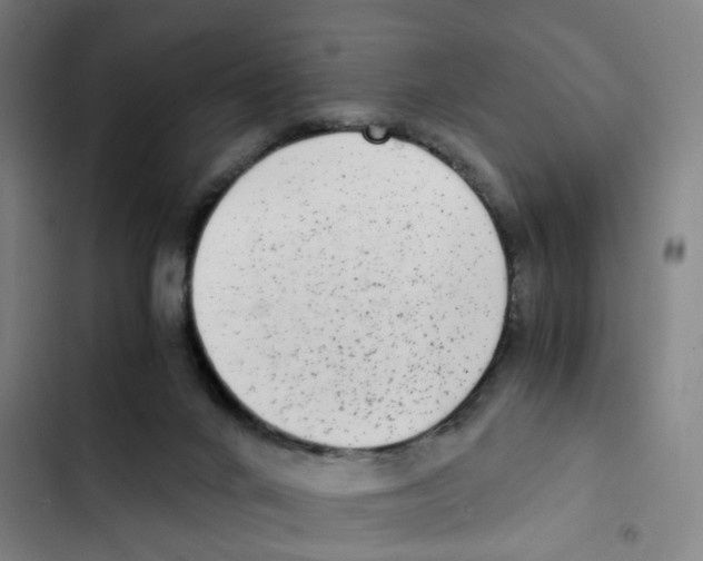 X0000102370024200808291300