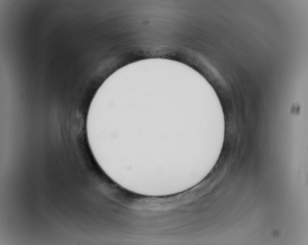 X0000102370025200808291300