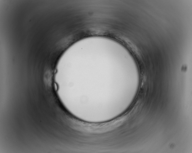 X0000102370026200808291300
