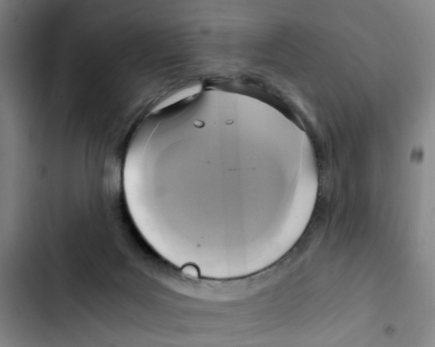 X0000102370027200808291300