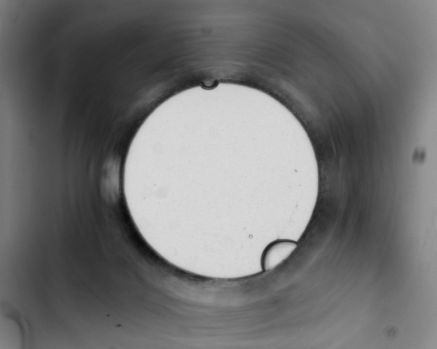 X0000102370028200808291300