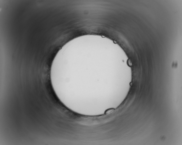 X0000102370029200808291300